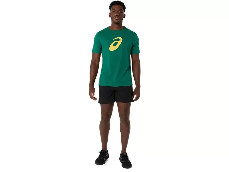 kortärmad t-shirt med penseltryck