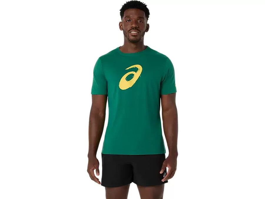 kortärmad t-shirt med penseltryck