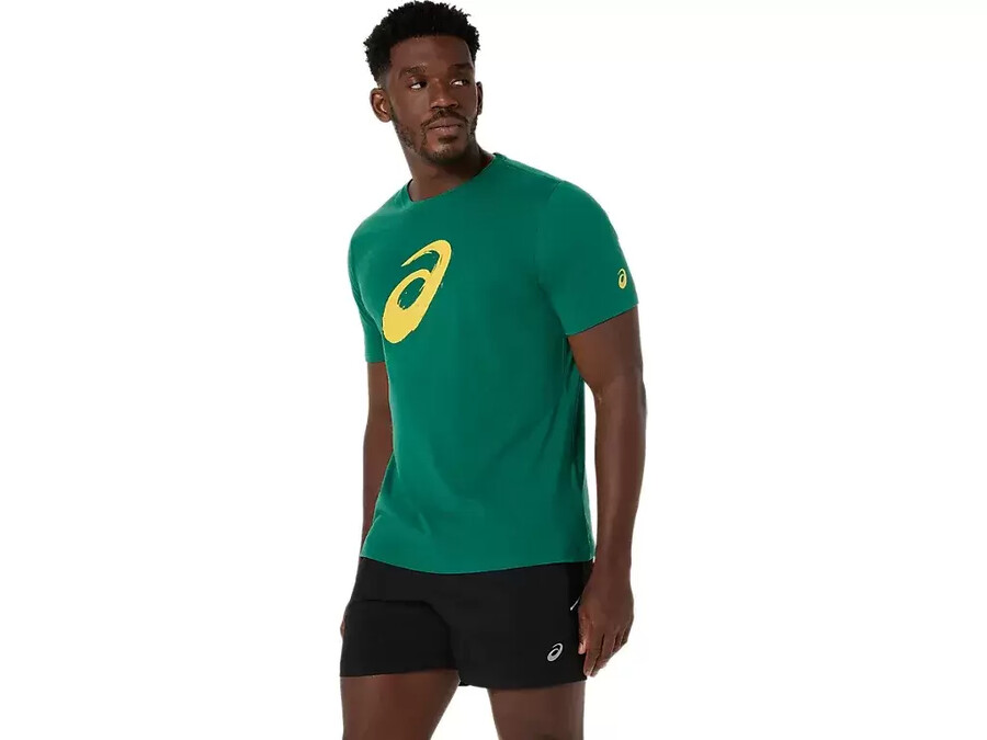 kortärmad t-shirt med penseltryck