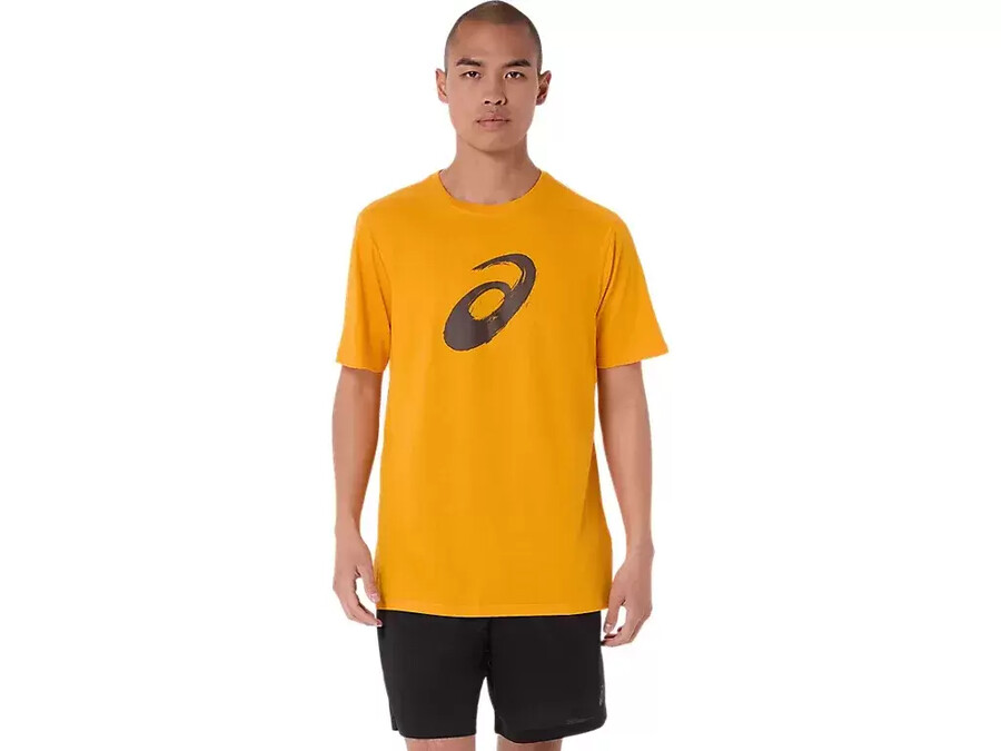 kortärmad t-shirt med penseltryck
