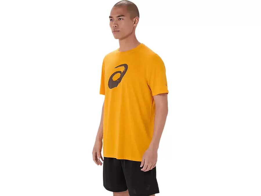 kortärmad t-shirt med penseltryck