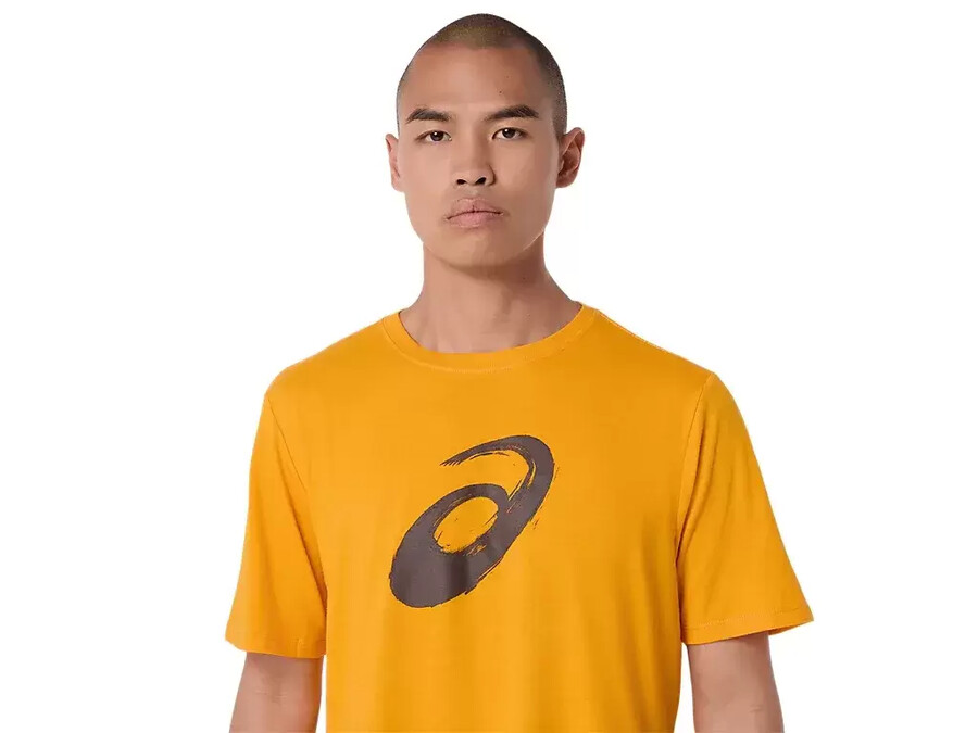 kortärmad t-shirt med penseltryck