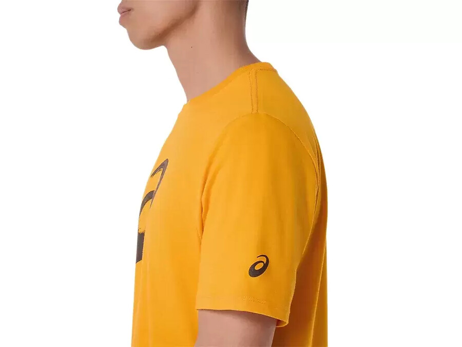 kortärmad t-shirt med penseltryck