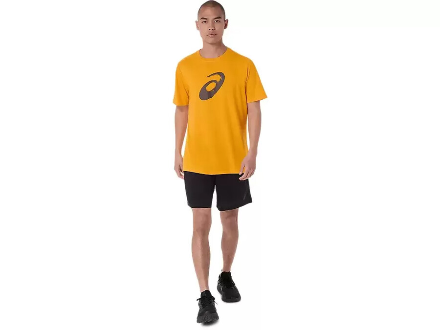 kortärmad t-shirt med penseltryck
