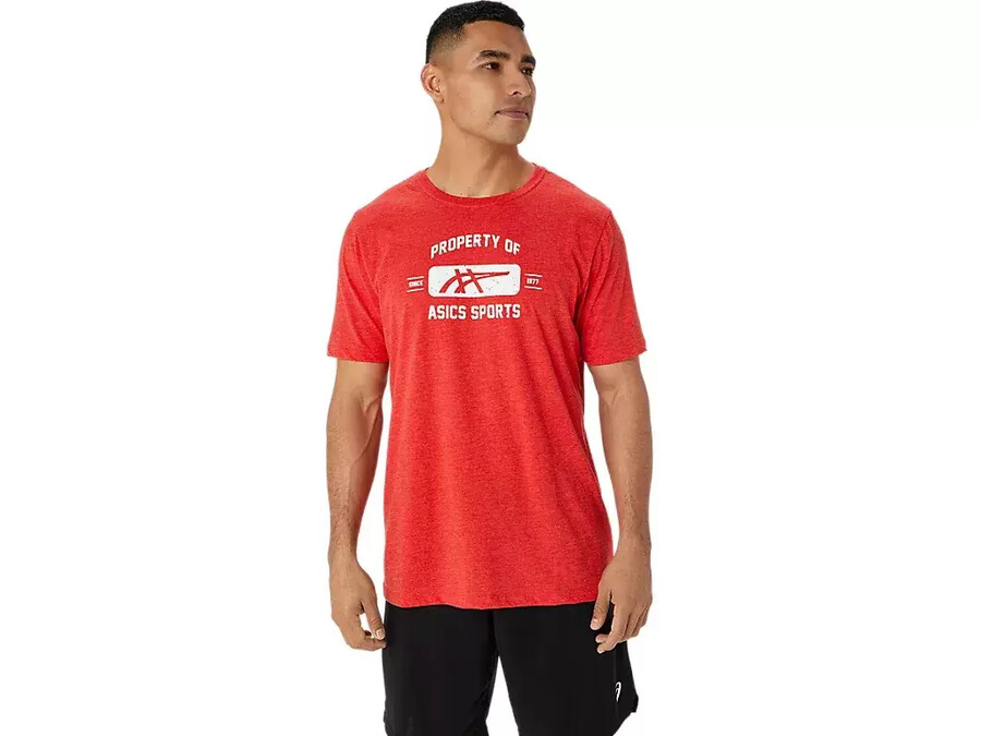 kortärmad sport-t-shirt property of asics