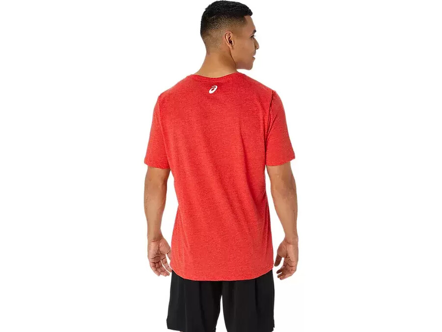kortärmad sport-t-shirt property of asics