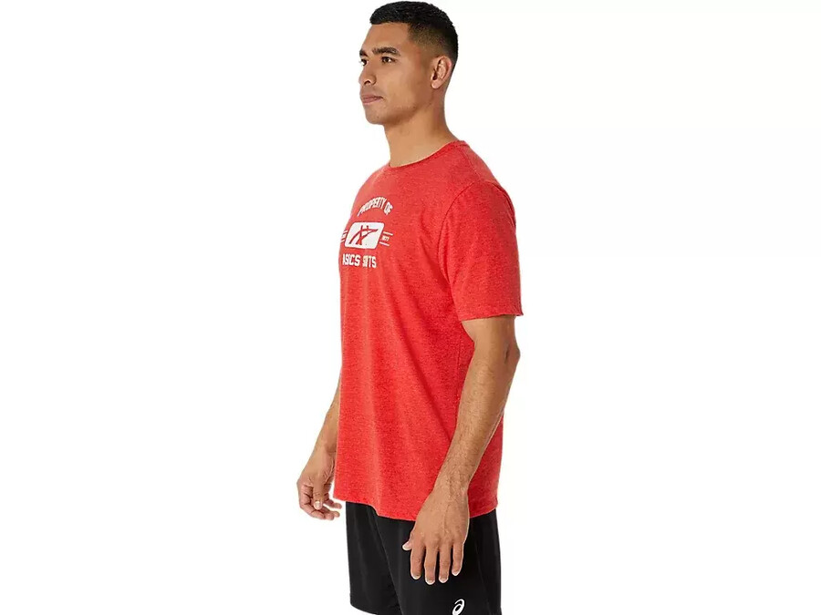 kortärmad sport-t-shirt property of asics