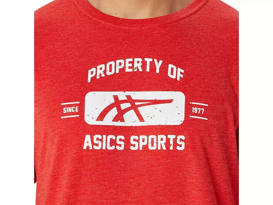 kortärmad sport-t-shirt property of asics