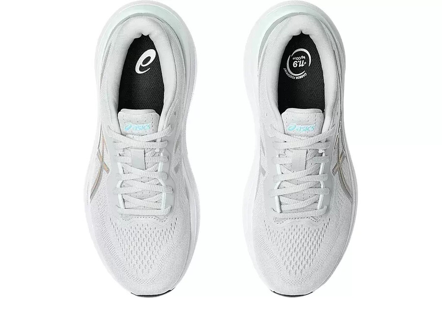 gt-1000 13 bred