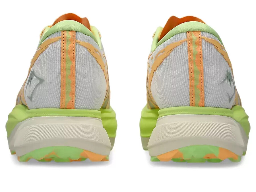 metafuji-leden